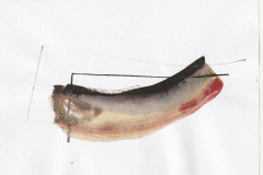 Aquarell_quer39